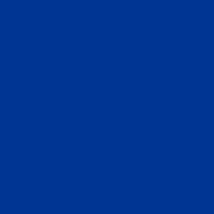 HIGHLANDER VOLLEYBALL - HOODIE - ROYAL BLUE - 5WA8VM Design